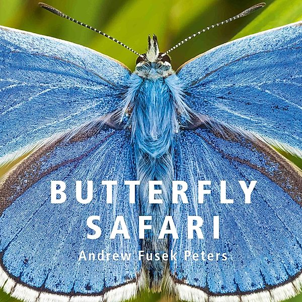 Butterfly Safari, Andrew Fusek Peters