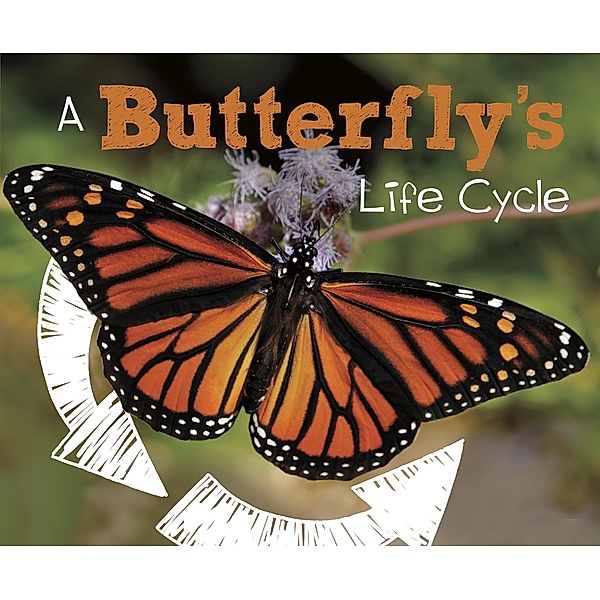 Butterfly's Life Cycle / Raintree Publishers, Mary R. Dunn
