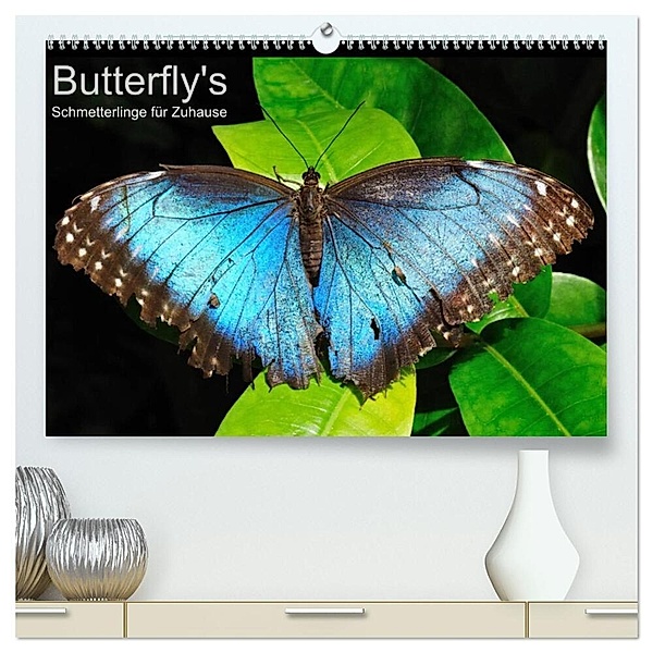 Butterfly's - Schmetterlinge für Zuhause (hochwertiger Premium Wandkalender 2024 DIN A2 quer), Kunstdruck in Hochglanz, Uwe Bade