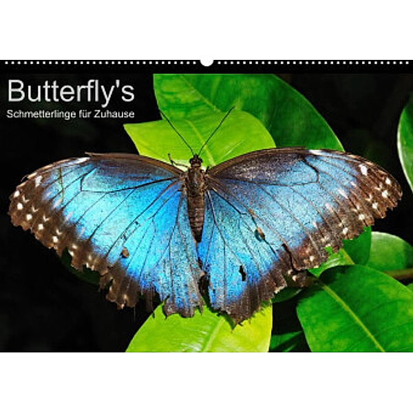 Butterfly's - Schmetterlinge für Zuhause (Premium, hochwertiger DIN A2 Wandkalender 2022, Kunstdruck in Hochglanz), Uwe Bade