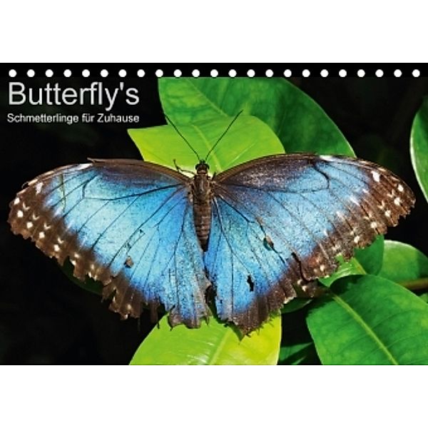 Butterfly's - Schmetterlinge für Zuhause (Tischkalender 2016 DIN A5 quer), Uwe Bade