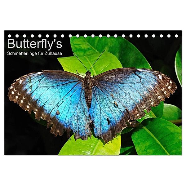 Butterfly's - Schmetterlinge für Zuhause (Tischkalender 2024 DIN A5 quer), CALVENDO Monatskalender, Uwe Bade