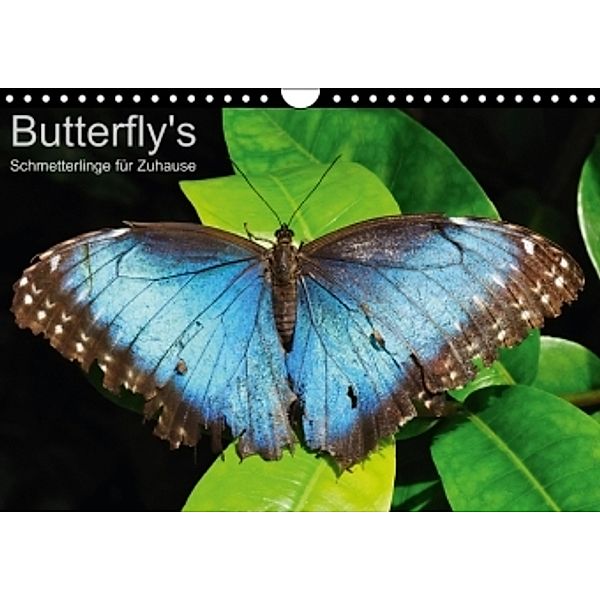 Butterfly's - Schmetterlinge für Zuhause (Wandkalender 2015 DIN A4 quer), Uwe Bade