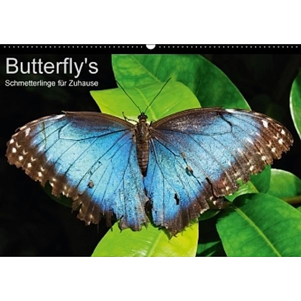 Butterfly's - Schmetterlinge für Zuhause (Wandkalender 2016 DIN A2 quer), Uwe Bade