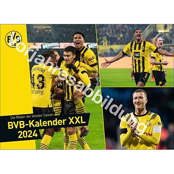 BVB Edition Kalender 2025