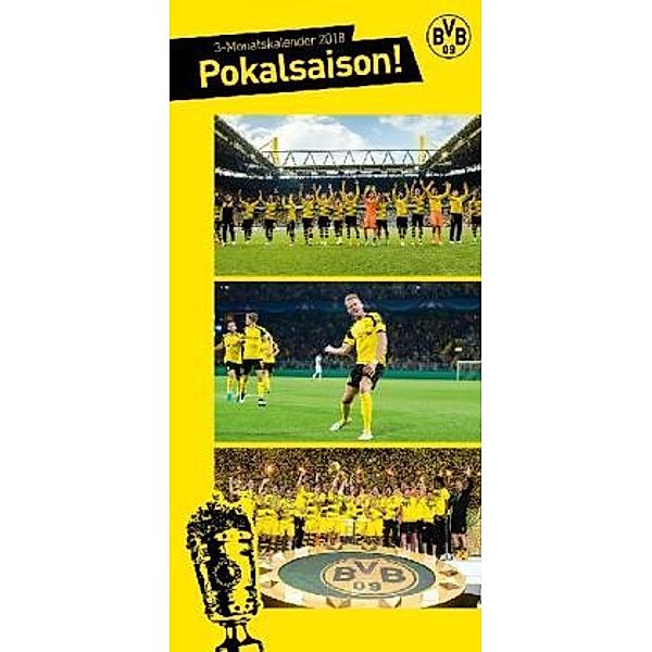 BVB - Pokalsaison! 2018