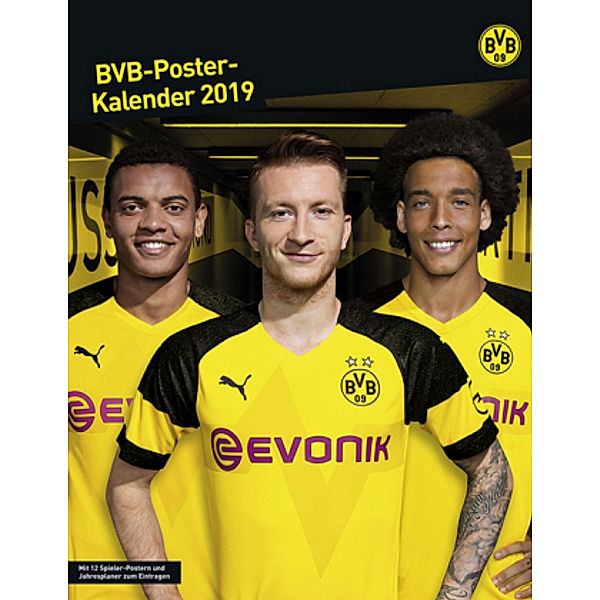 BVB-Posterkalender 2019