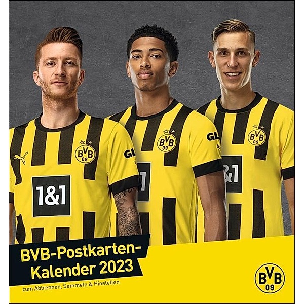 BVB Postkartenkalender 2023. Kleiner Kalender für grosse Fans: Die Stars von Borussia Dortmund in einem Tischkalender zum