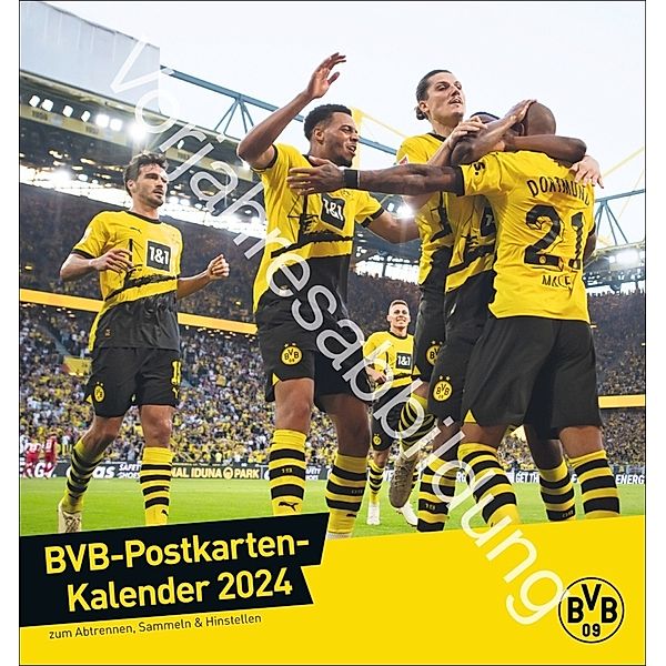 BVB Postkartenkalender 2025