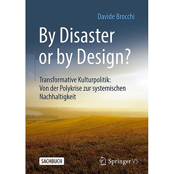 By Disaster or by Design?, Davide Brocchi