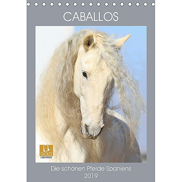Caballos - Die schönen Pferde Spaniens (Tischkalender 2019 DIN A5 hoch), Petra Eckerl