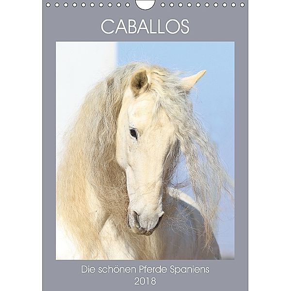 Caballos - Die schönen Pferde Spaniens (Wandkalender 2018 DIN A4 hoch), Petra Eckerl