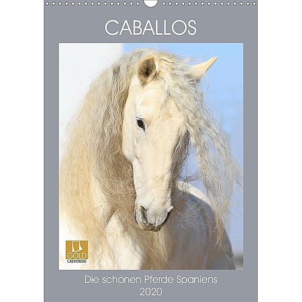 Caballos - Die schönen Pferde Spaniens (Wandkalender 2020 DIN A3 hoch), Petra Eckerl Tierfotografie