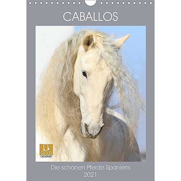Caballos - Die schönen Pferde Spaniens (Wandkalender 2021 DIN A4 hoch), Petra Eckerl Tierfotografie