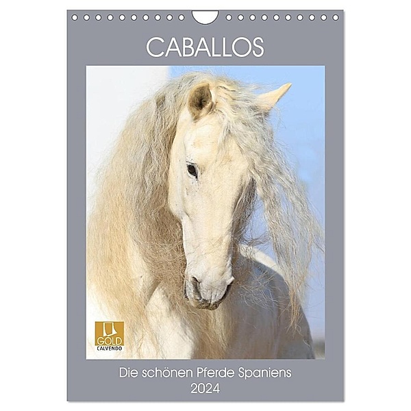 Caballos - Die schönen Pferde Spaniens (Wandkalender 2024 DIN A4 hoch), CALVENDO Monatskalender, Petra Eckerl Tierfotografie