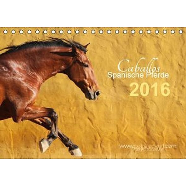 Caballos Spanische Pferde 2016 (Tischkalender 2016 DIN A5 quer), Petra Eckerl