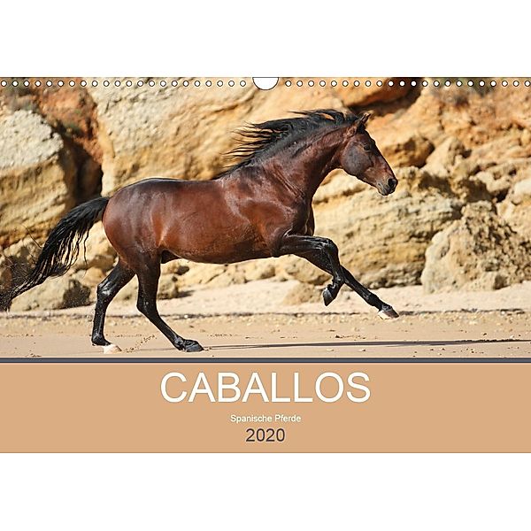 Caballos Spanische Pferde 2020 (Wandkalender 2020 DIN A3 quer), Petra Eckerl Tierfotografie