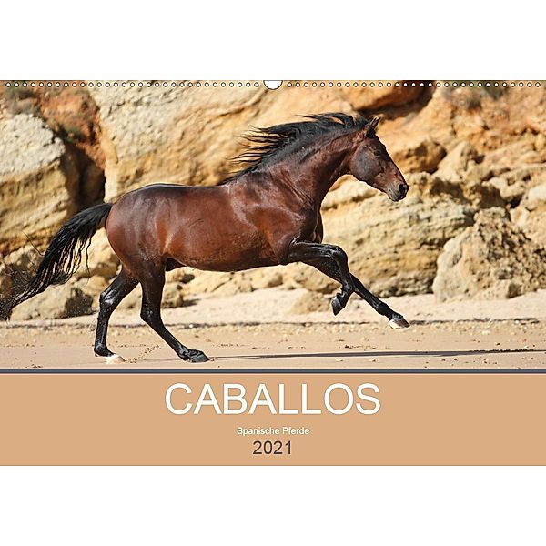 Caballos Spanische Pferde 2021 (Wandkalender 2021 DIN A2 quer), Petra Eckerl Tierfotografie