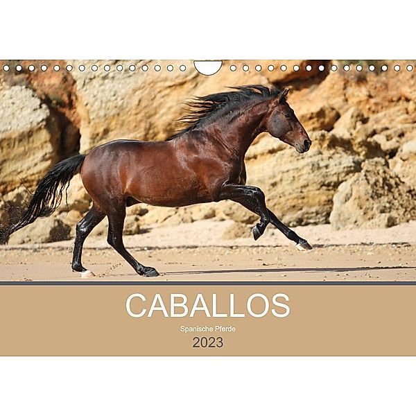 Caballos Spanische Pferde 2023 (Wandkalender 2023 DIN A4 quer), Petra Eckerl Tierfotografie