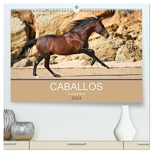 Caballos Spanische Pferde 2024 (hochwertiger Premium Wandkalender 2024 DIN A2 quer), Kunstdruck in Hochglanz, Petra Eckerl Tierfotografie