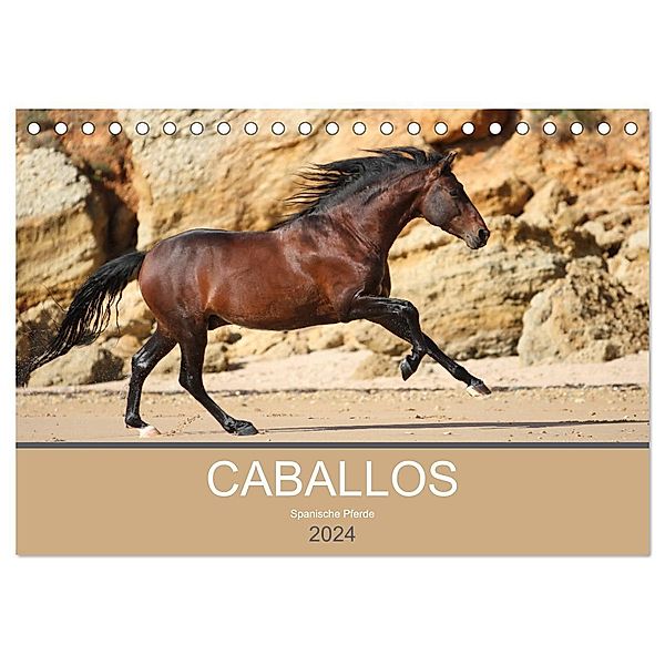 Caballos Spanische Pferde 2024 (Tischkalender 2024 DIN A5 quer), CALVENDO Monatskalender, Petra Eckerl Tierfotografie
