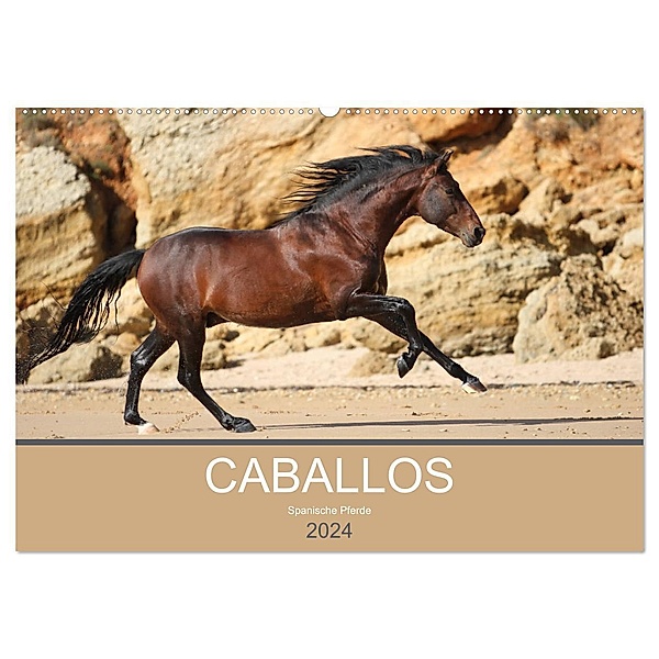 Caballos Spanische Pferde 2024 (Wandkalender 2024 DIN A2 quer), CALVENDO Monatskalender, Petra Eckerl Tierfotografie