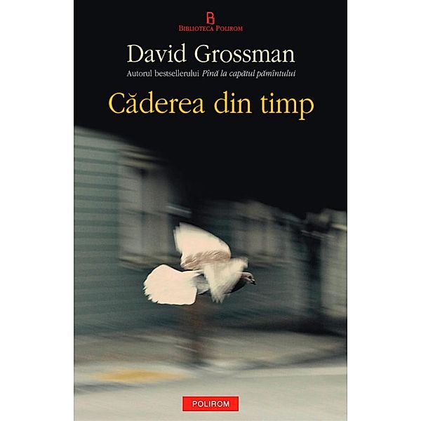 Caderea din timp / Biblioteca Polirom, Grossman David