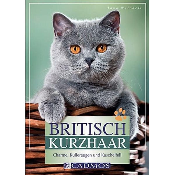 Cadmos Heimtierpraxis / Britisch Kurzhaar, Jana Weichelt