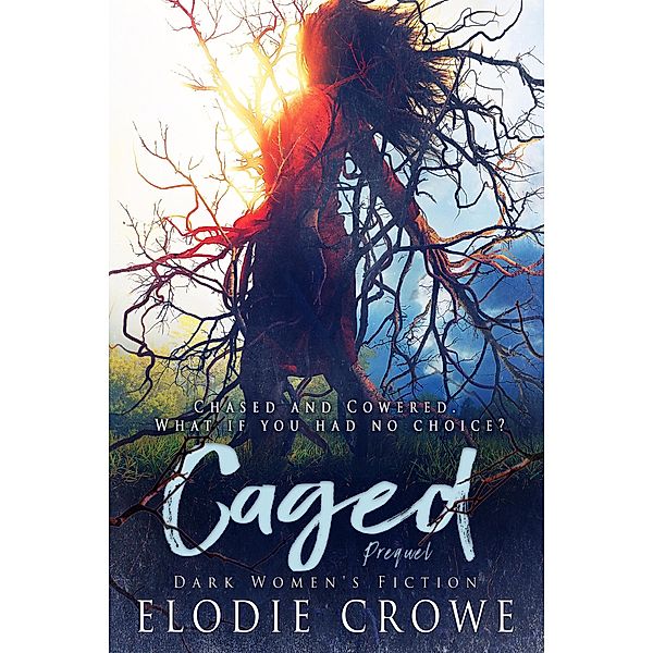 Caged (Cowered) / Cowered, Felicity Brandon