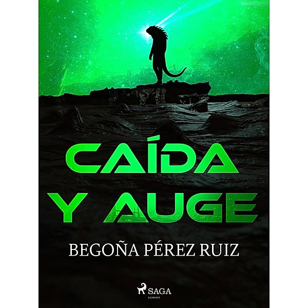 Caída y auge, Begoña Pérez Ruiz