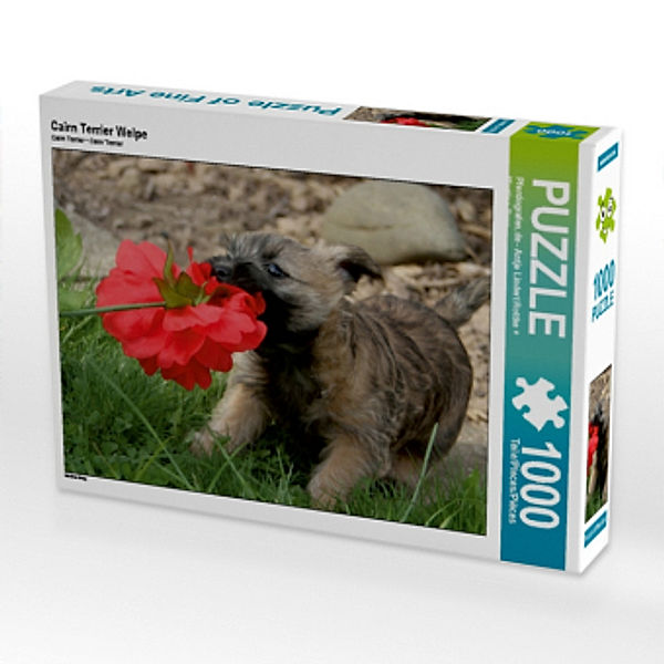 Cairn Terrier Welpe (Puzzle), Antje Lindert-Rottke, Martina Berg