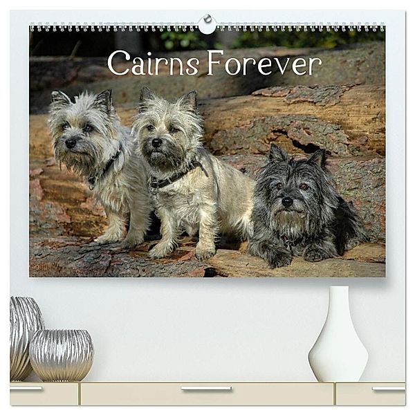 Cairns Forever (hochwertiger Premium Wandkalender 2025 DIN A2 quer), Kunstdruck in Hochglanz, Calvendo, Homwico