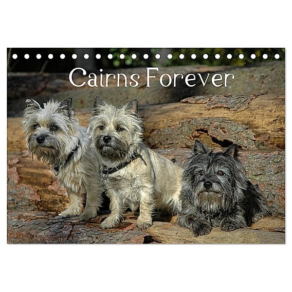Cairns Forever (Tischkalender 2024 DIN A5 quer), CALVENDO Monatskalender, Homwico