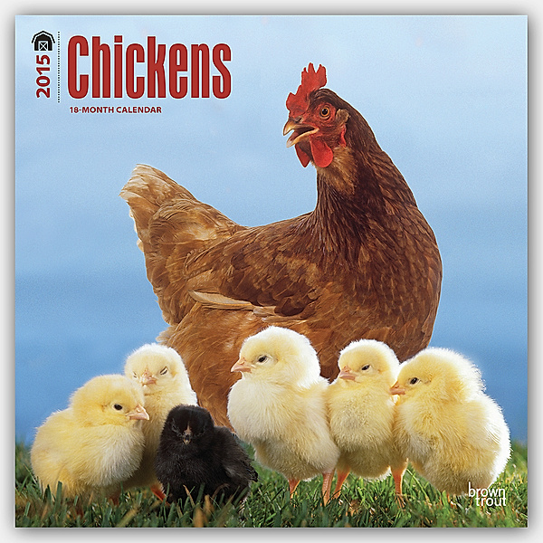 CAL 2015-CHICKENS