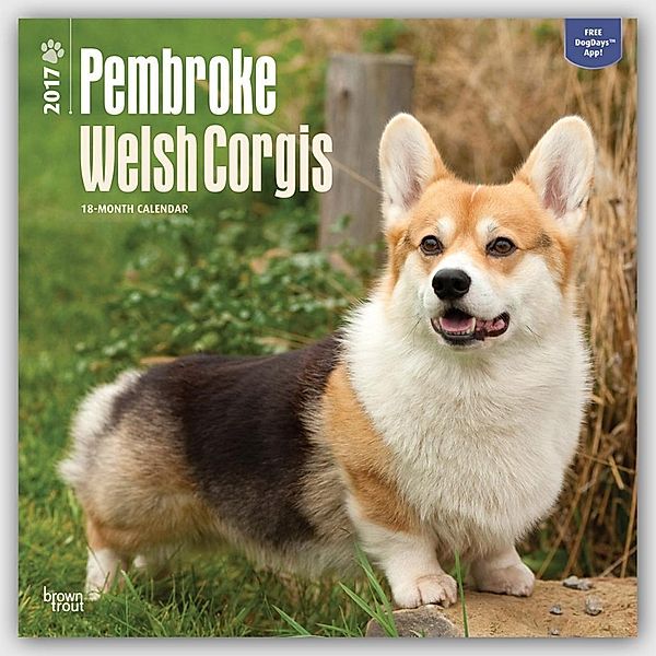 CAL 2017-WELSH CORGIS PEMBROK, Inc Browntrout Publishers