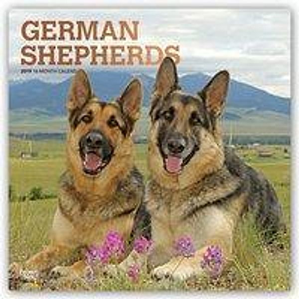 CAL 2019-GERMAN SHEPHERDS SQUA, Inc Browntrout Publishers