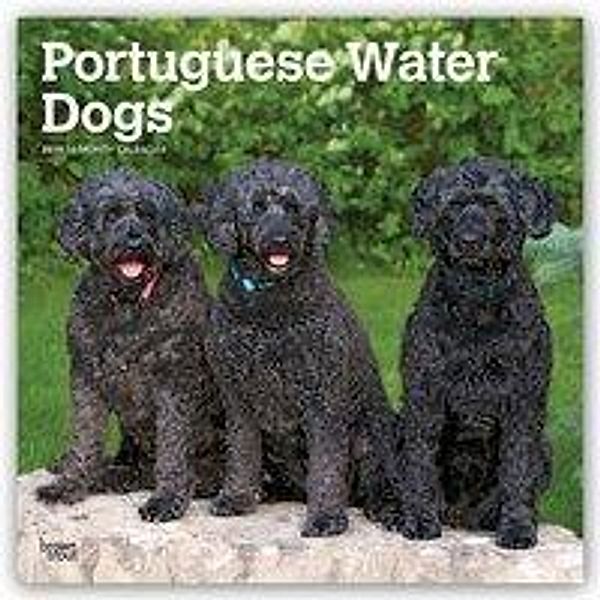 CAL 2019-PORTUGUESE WATER DOGS, Inc Browntrout Publishers