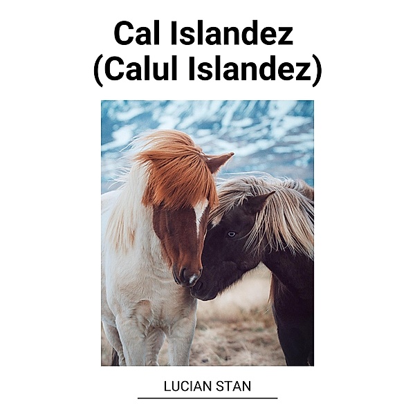 Cal Islandez (Calul Islandez), Lucian Stan