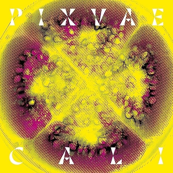 Cali, Pixvae