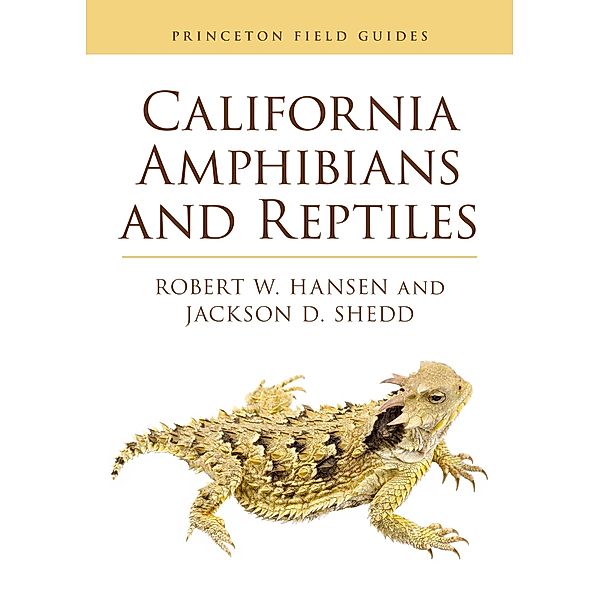 California Amphibians and Reptiles / Princeton Field Guides Bd.165, Robert Hansen, Jackson D. Shedd