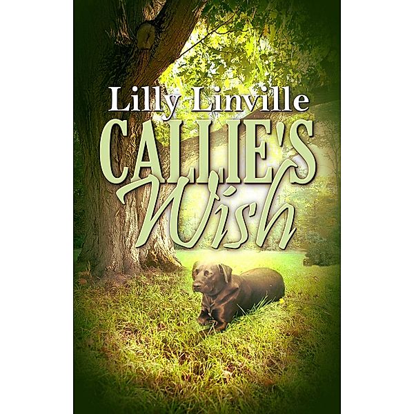 Callie's Wish, Lilly Linville