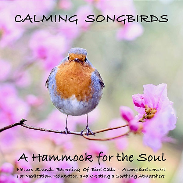 Calming Songbirds: Nature Sounds Recording Of Bird Calls - A songbird concert for Meditation, Relaxation and Creating a Soothing Atmosphere, Yella A. Deeken