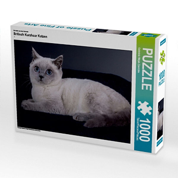 CALVENDO Puzzle Britisch Kurzhaar Katzen 1000 Teile Lege-Größe 64 x 48 cm Foto-Puzzle Bild von Gabriela Wejat-Zaretzke, Calvendo