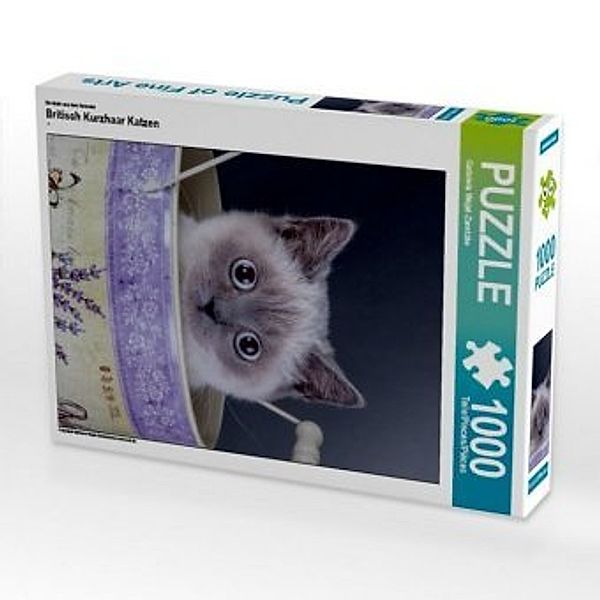 CALVENDO Puzzle Britisch Kurzhaar Katzen 1000 Teile Lege-Größe 48 x 64 cm Foto-Puzzle Bild von Gabriela Wejat-Zaretzke, Calvendo