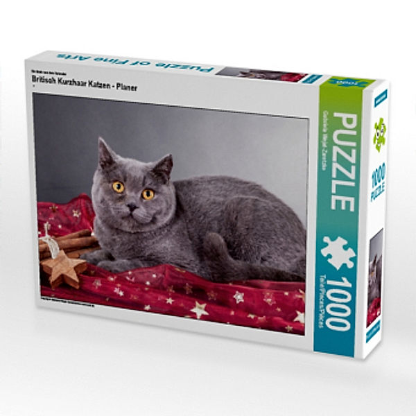 CALVENDO Puzzle Britisch Kurzhaar Katzen - Planer 1000 Teile Lege-Größe 64 x 48 cm Foto-Puzzle Bild von Gabriela Wejat-Z, Calvendo