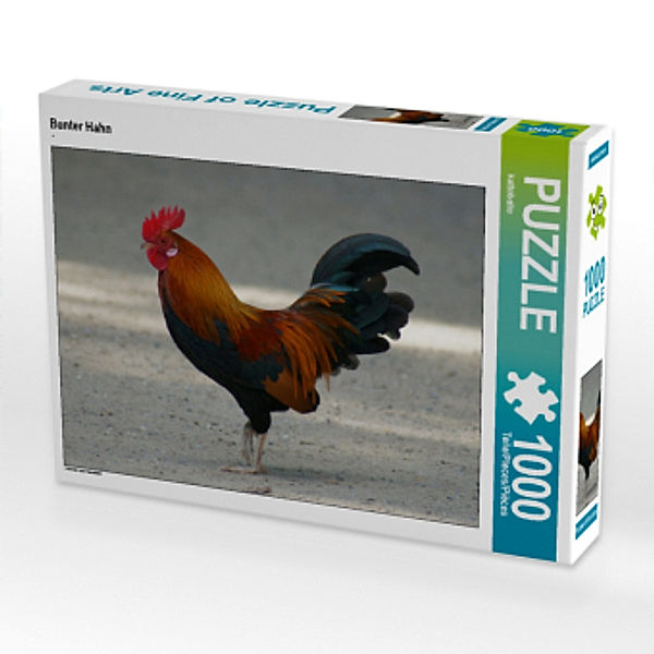 CALVENDO Puzzle Bunter Hahn 1000 Teile Lege-Größe 64 x 48 cm Foto-Puzzle Bild von kattobello, Calvendo