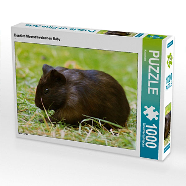 CALVENDO Puzzle Dunkles Meerschweinchen Baby 1000 Teile Lege-Größe 64 x 48 cm Foto-Puzzle Bild von Kattobello, Calvendo