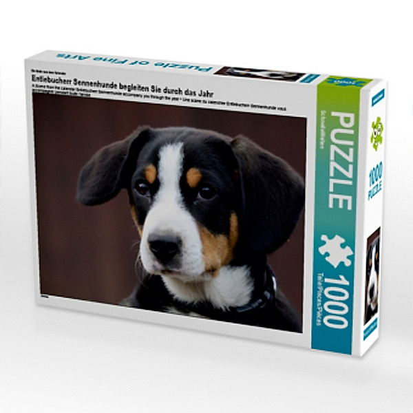 CALVENDO Puzzle Entlebucherr Sennenhunde begleiten Sie durch das Jahr 1000 Teile Lege-Größe 64 x 48 cm Foto-Puzzle Bild, Calvendo