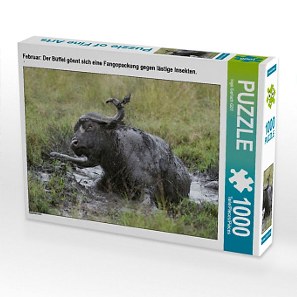 CALVENDO Puzzle Februar: Der Büffel gönnt sich eine Fangopackung gegen lästige Insekten. 1000 Teile Lege-Größe 64 x 48 c, Calvendo