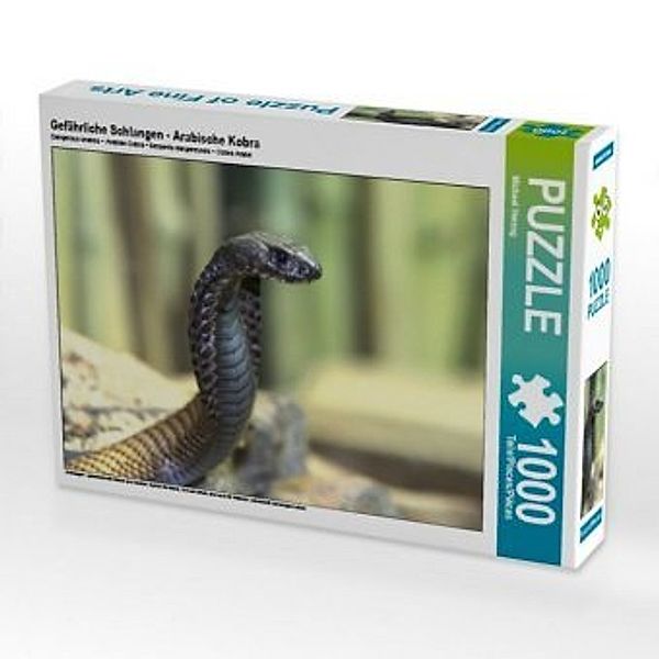 CALVENDO Puzzle Gefährliche Schlangen - Arabische Kobra 1000 Teile Lege-Größe 64 x 48 cm Foto-Puzzle Bild von Michael He, Calvendo
